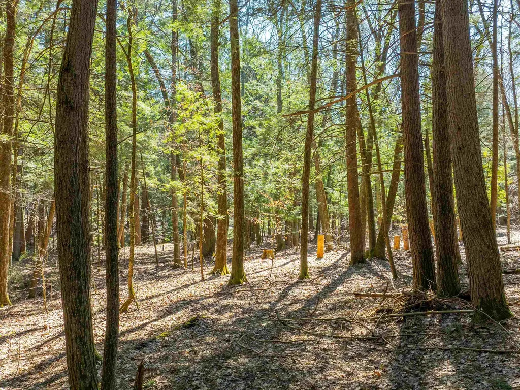 00 Morrill Bend Hartford VT 05059