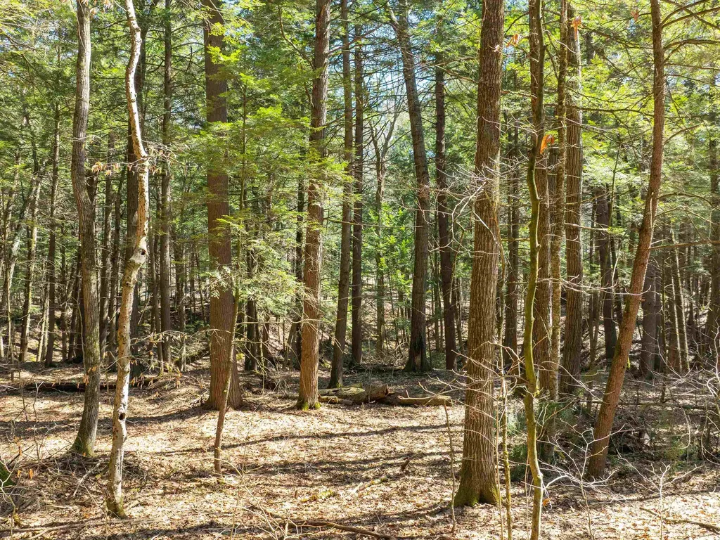 00 Morrill Bend Hartford VT 05059