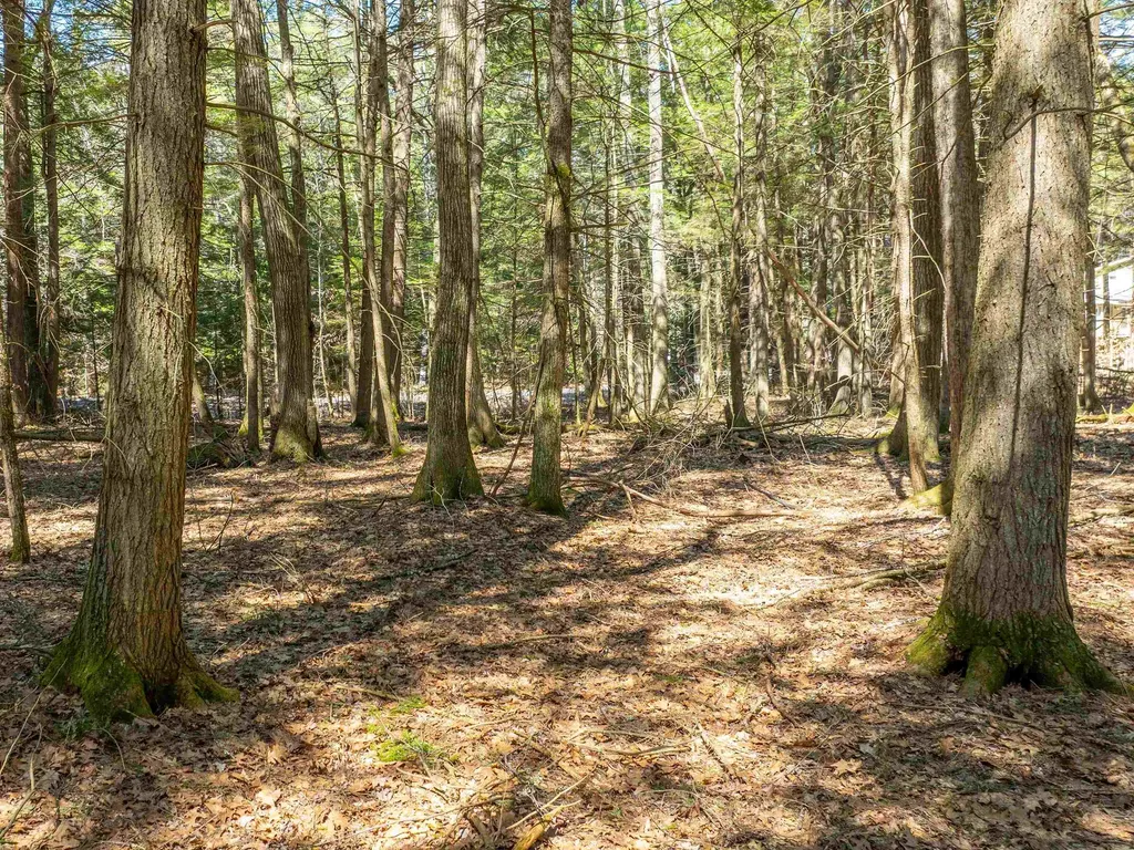 00 Morrill Bend Hartford VT 05059