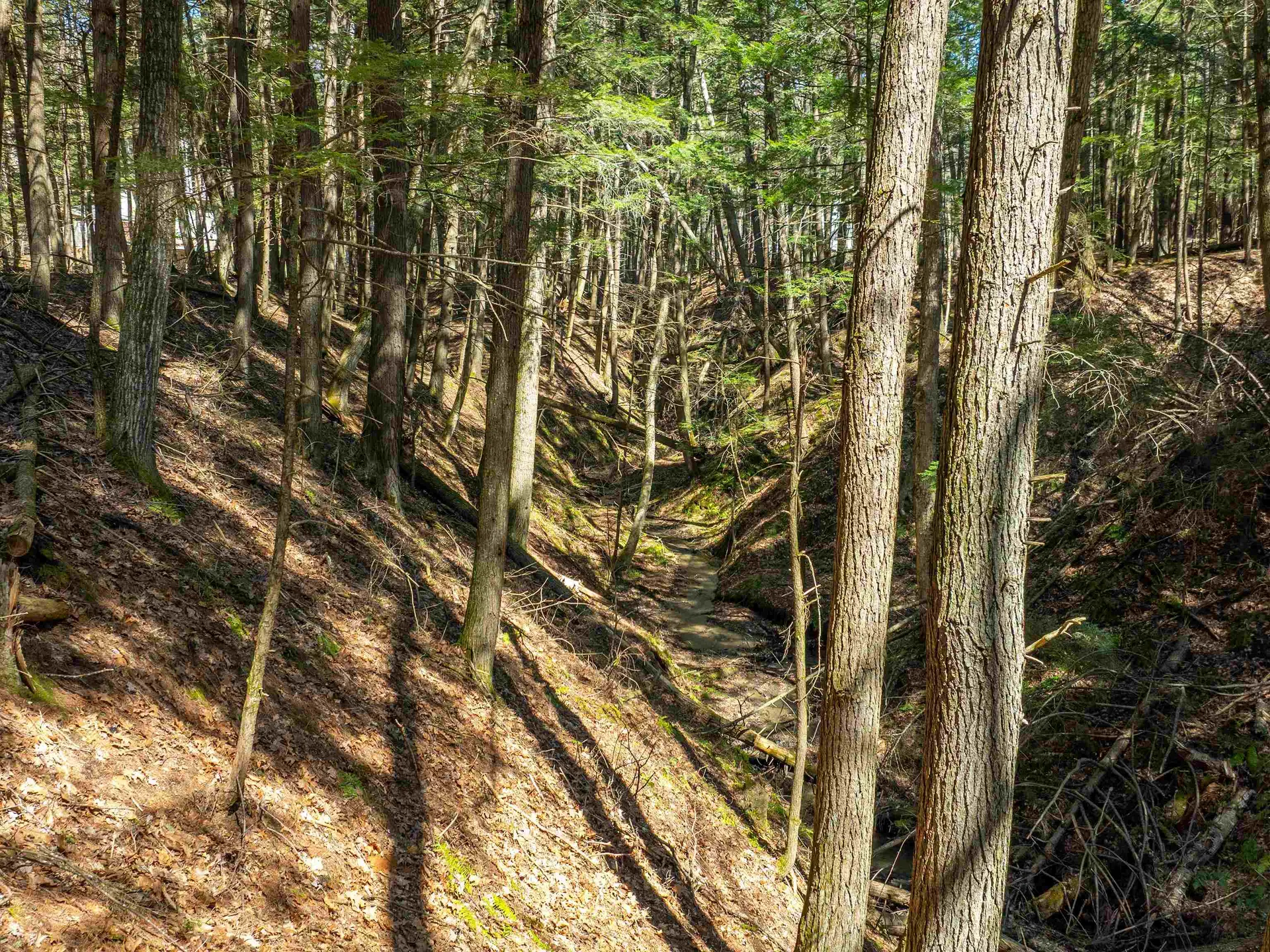 00 Morrill Bend Hartford VT 05059