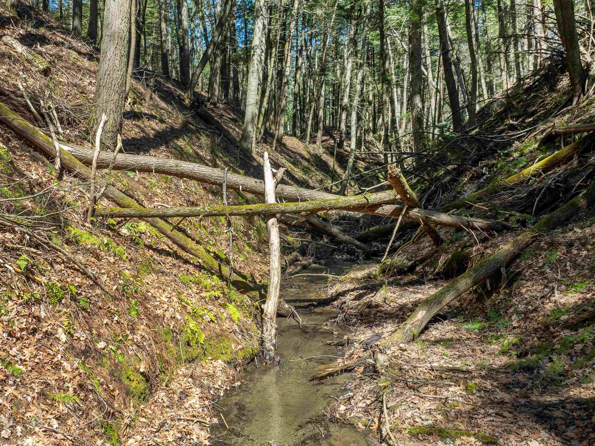 00 Morrill Bend Hartford VT 05059