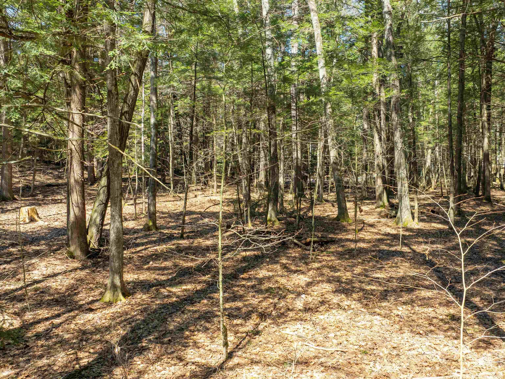 00 Morrill Bend Hartford VT 05059