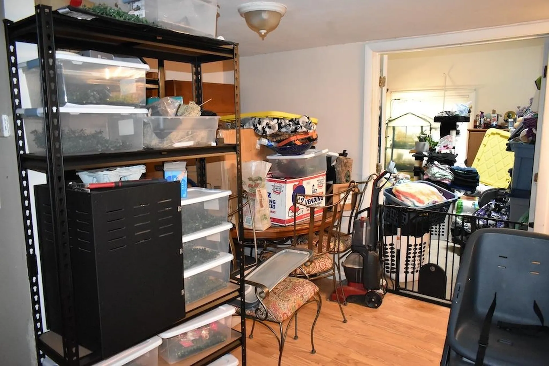 133 Mount Delight Road Deerfield NH 03037