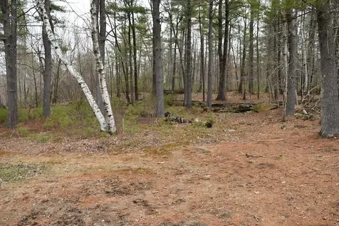 133 Mount Delight Road Deerfield NH 03037
