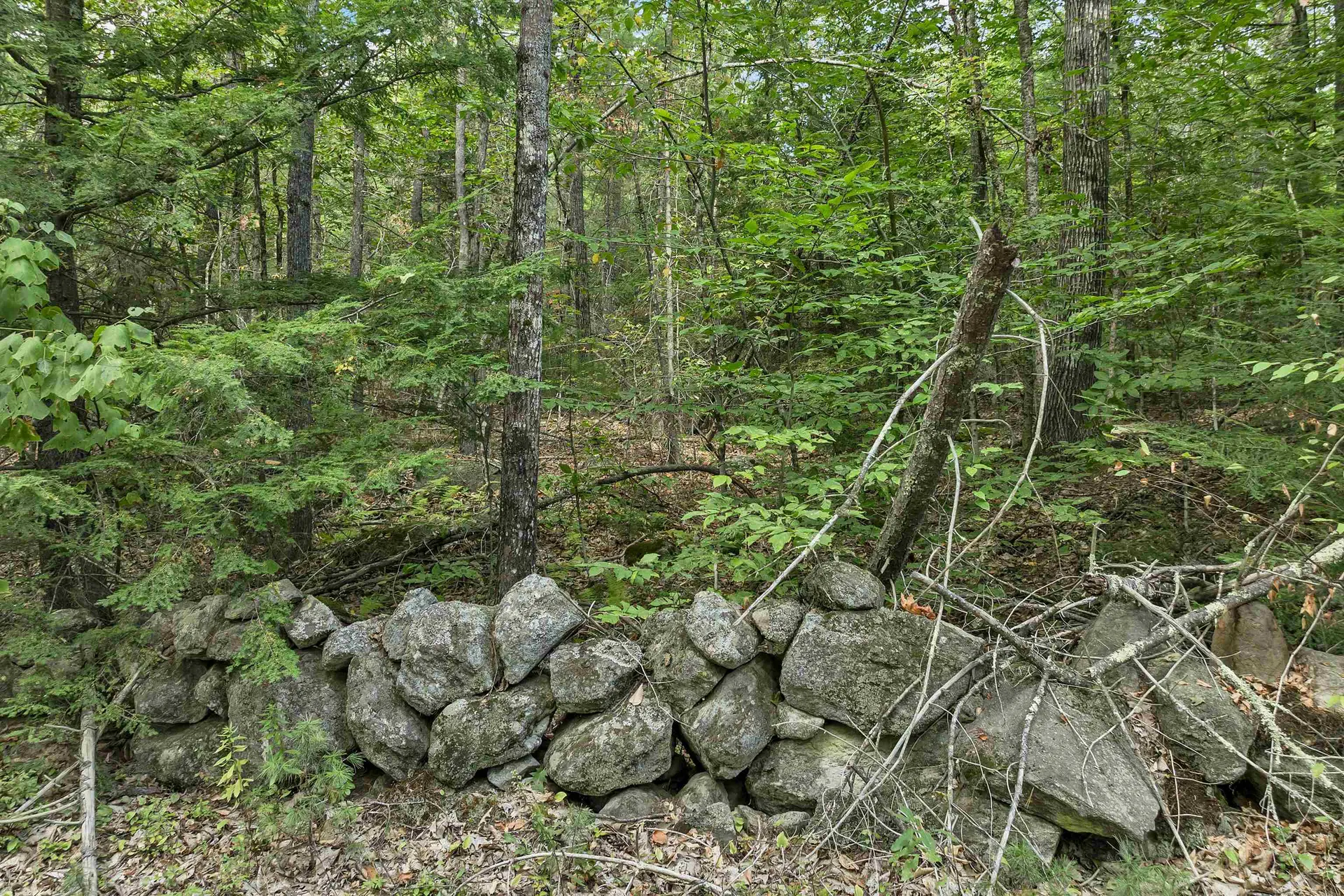 Lot 76 Vail Road Barnstead NH 03225