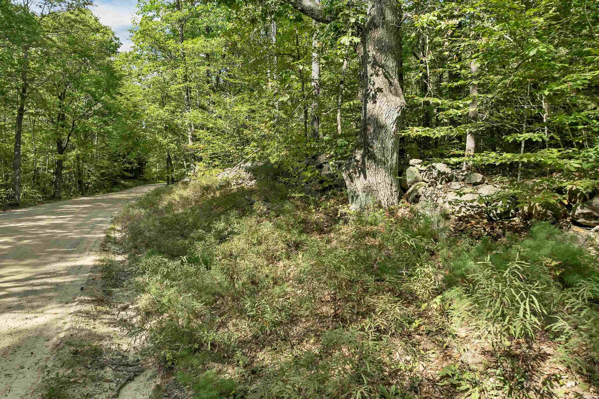 Lot 76 Vail Road Barnstead NH 03225