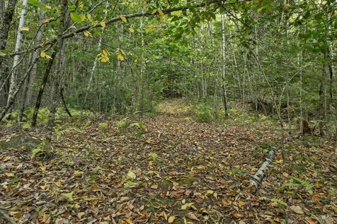 Lot 76 Vail Road Barnstead NH 03225