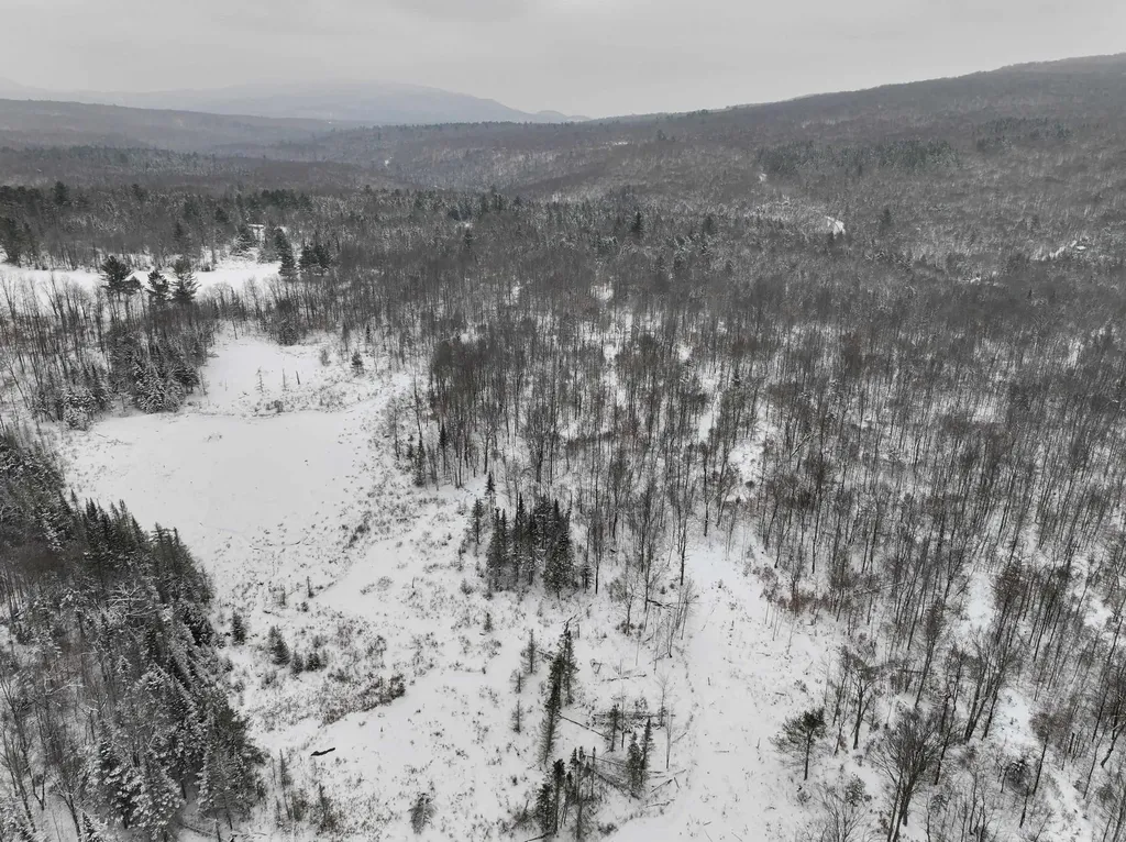 Lot 3 Lincoln Road Ripton VT 05766
