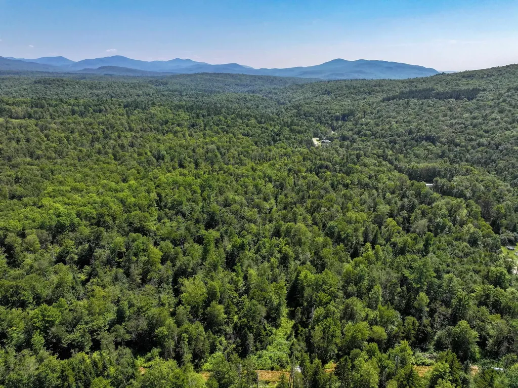 Lot 3 Lincoln Road Ripton VT 05766