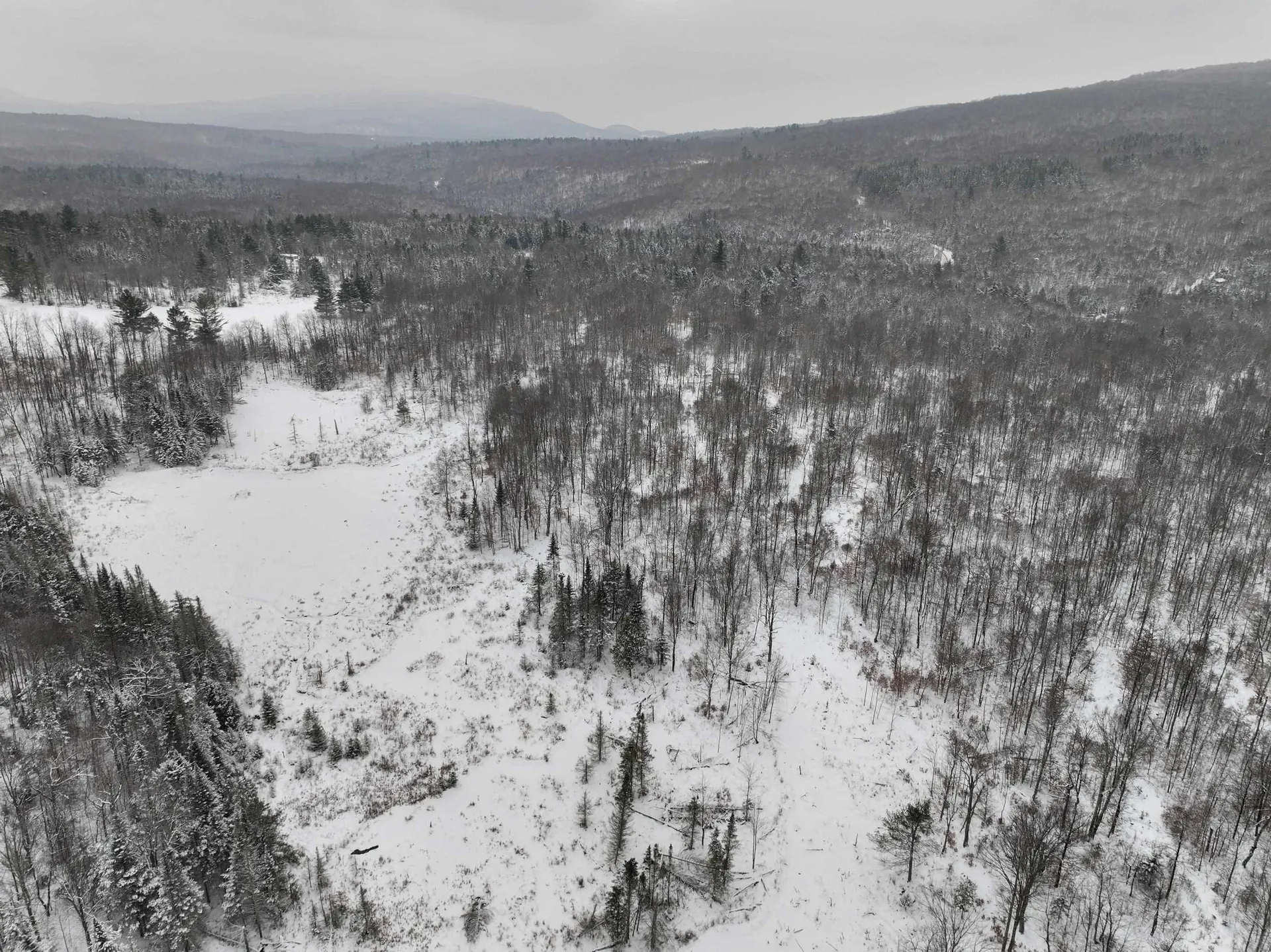 Lot 3 Lincoln Road Ripton VT 05766