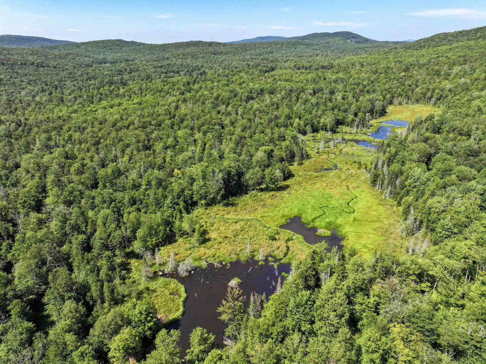 Lot 3 Lincoln Road Ripton VT 05766