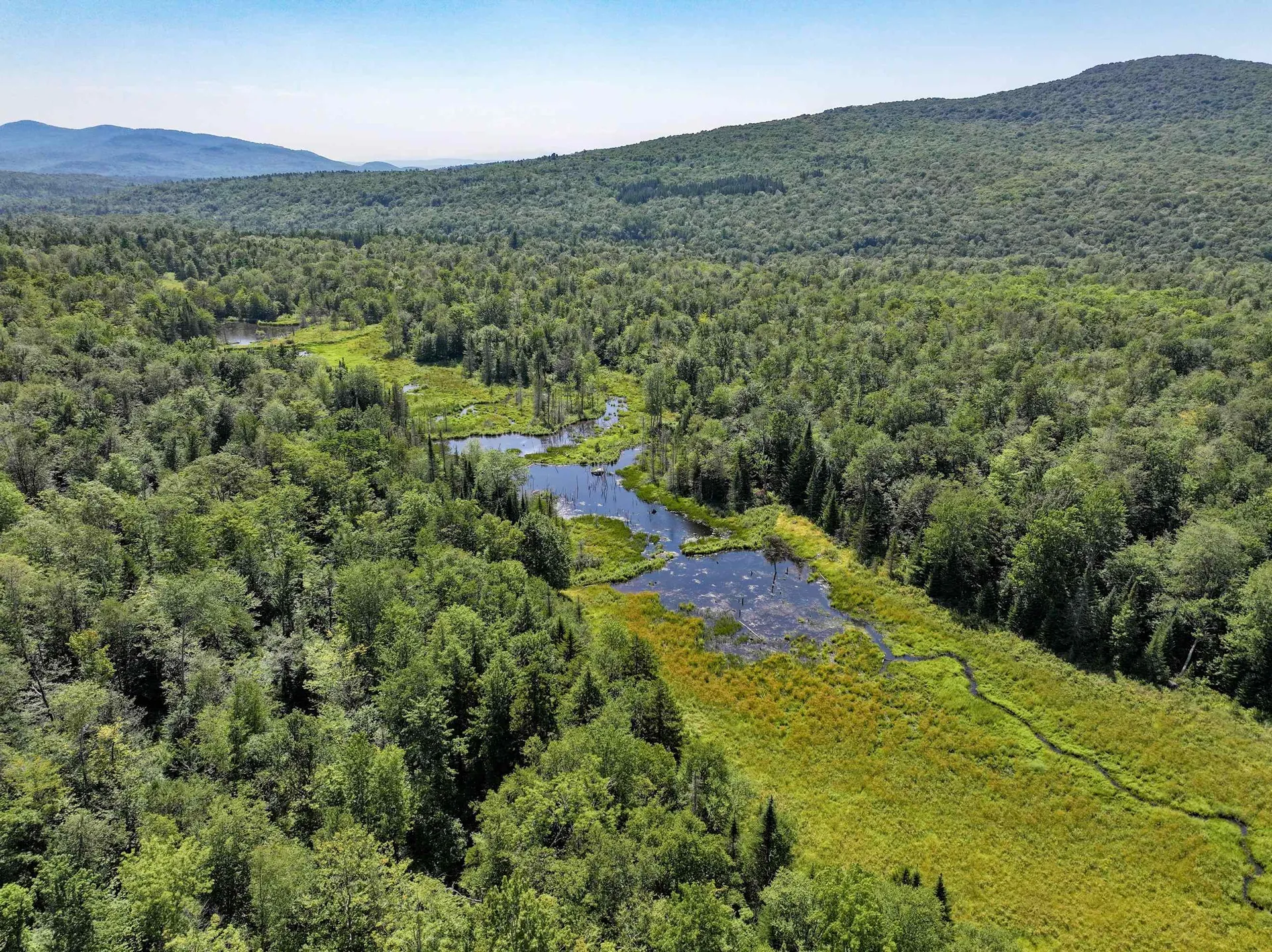 Lot 3 Lincoln Road Ripton VT 05766