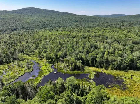 Lot 3 Lincoln Road Ripton VT 05766