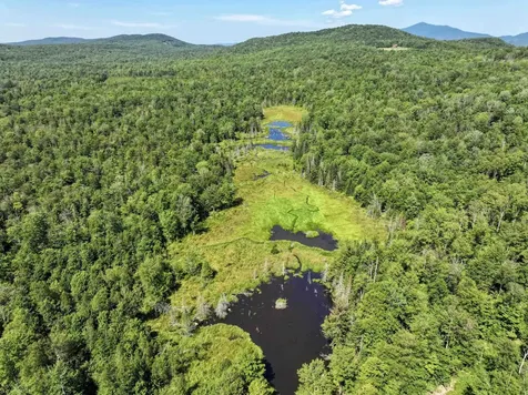 Lot 3 Lincoln Road Ripton VT 05766