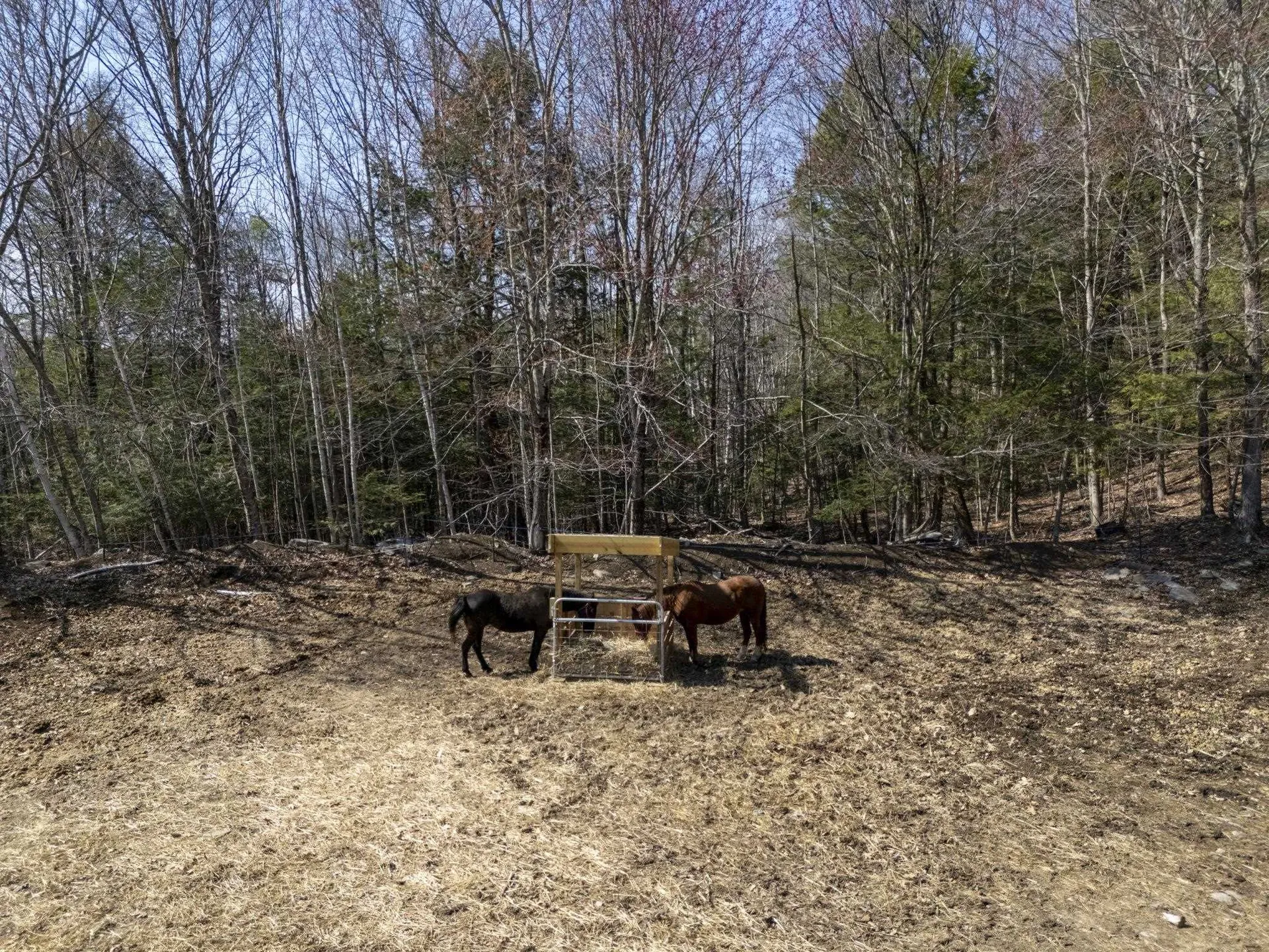 73 Mount Delight Road Deerfield NH 03037
