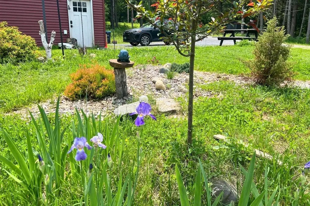 280 Lower Road Plainfield VT 05667