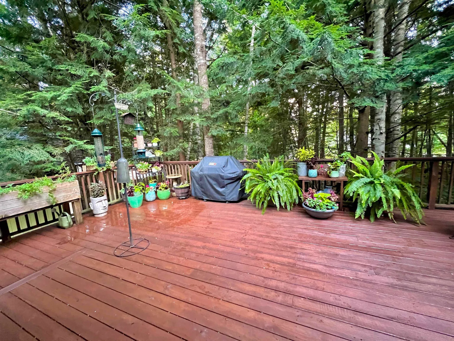 66 Street Gallen Street Moultonborough NH 03254