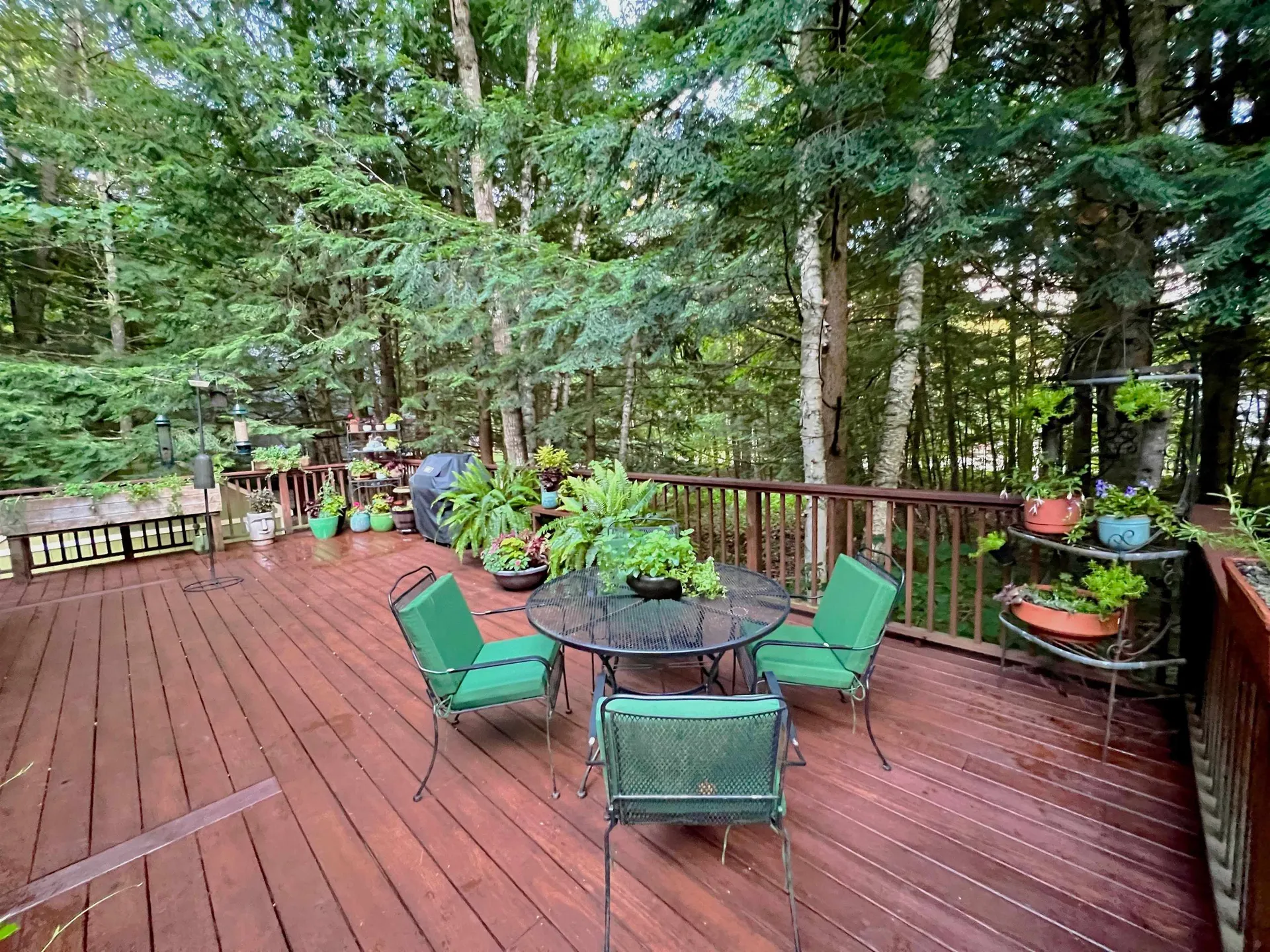 66 Street Gallen Street Moultonborough NH 03254