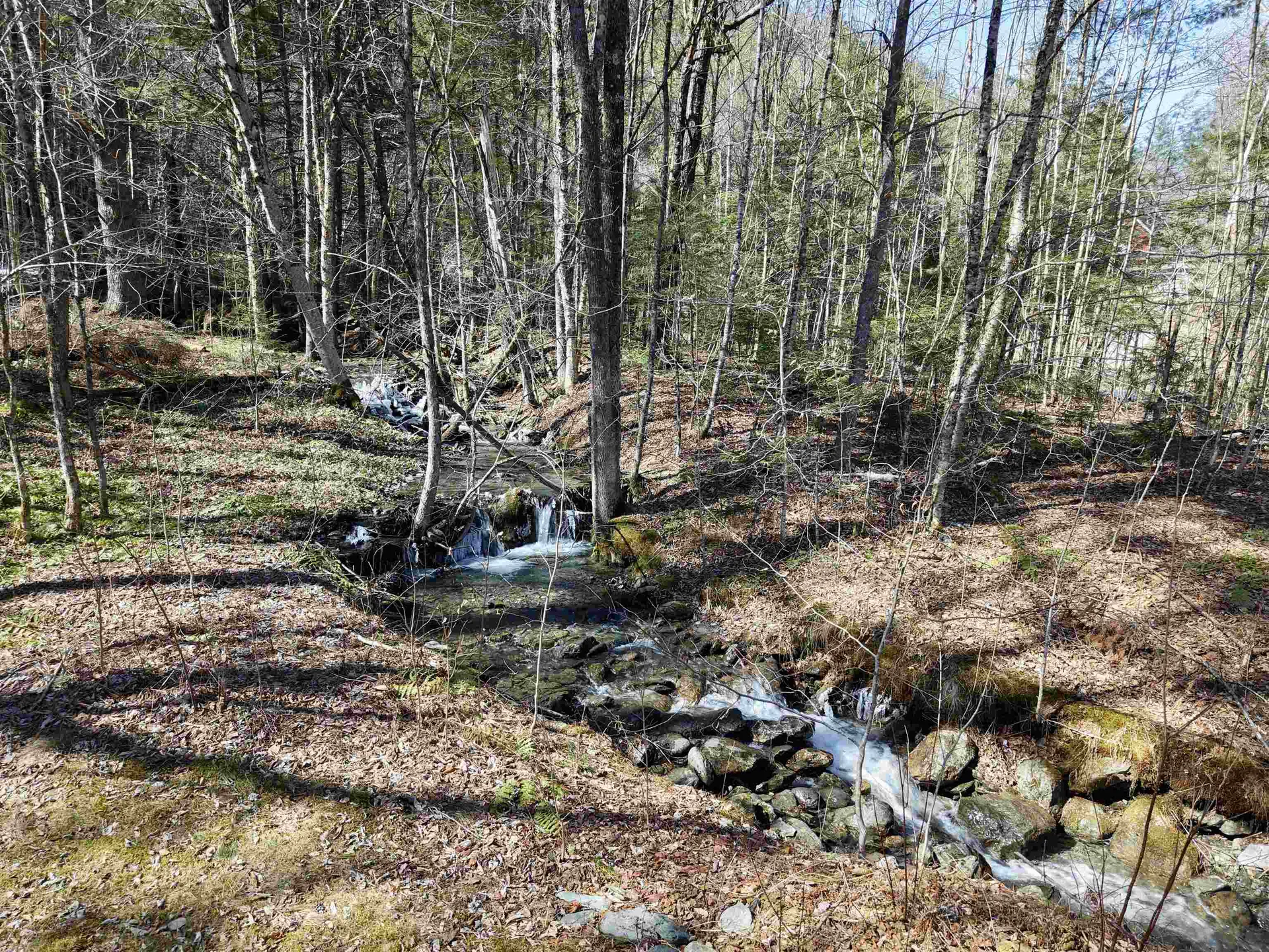 2362 Vt Route 100 Hancock VT 05748