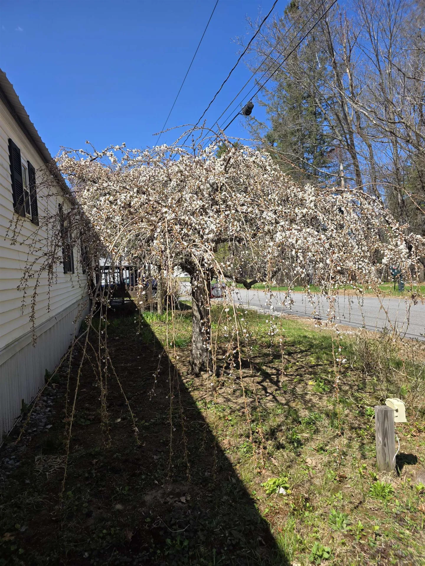 4 Eddy Drive Boscawen NH 03303