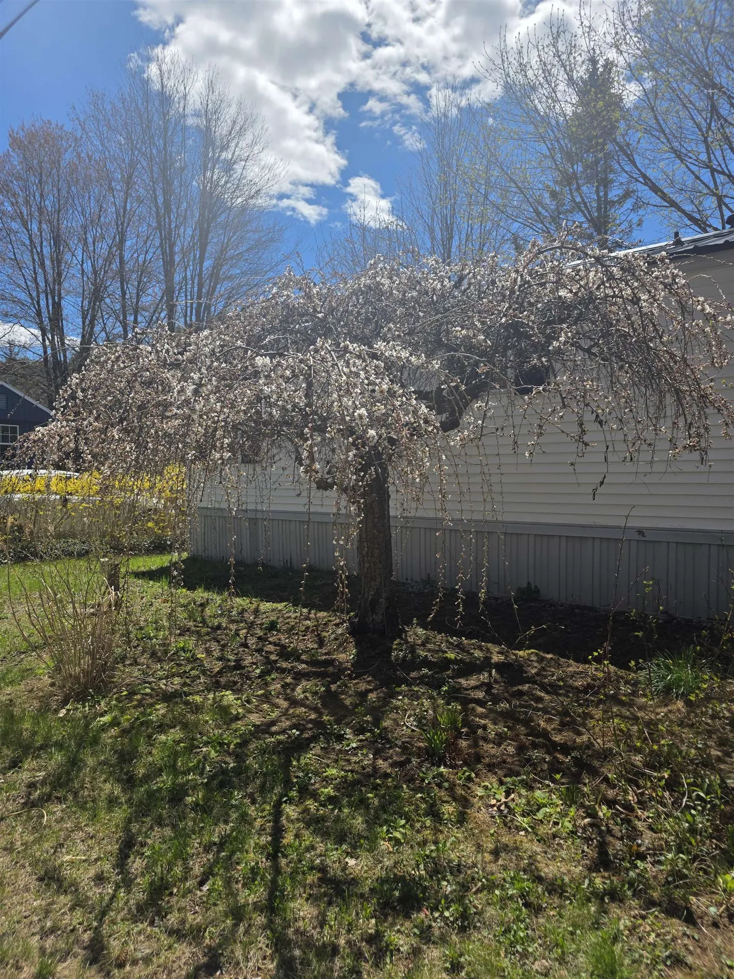 4 Eddy Drive Boscawen NH 03303