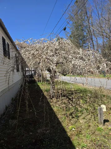 4 Eddy Drive Boscawen NH 03303