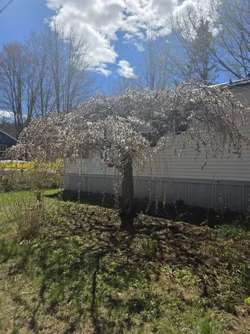 4 Eddy Drive Boscawen NH 03303