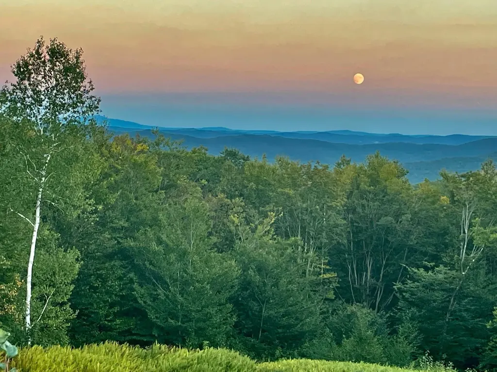 365 Timson Hill Road Newfane VT 05345