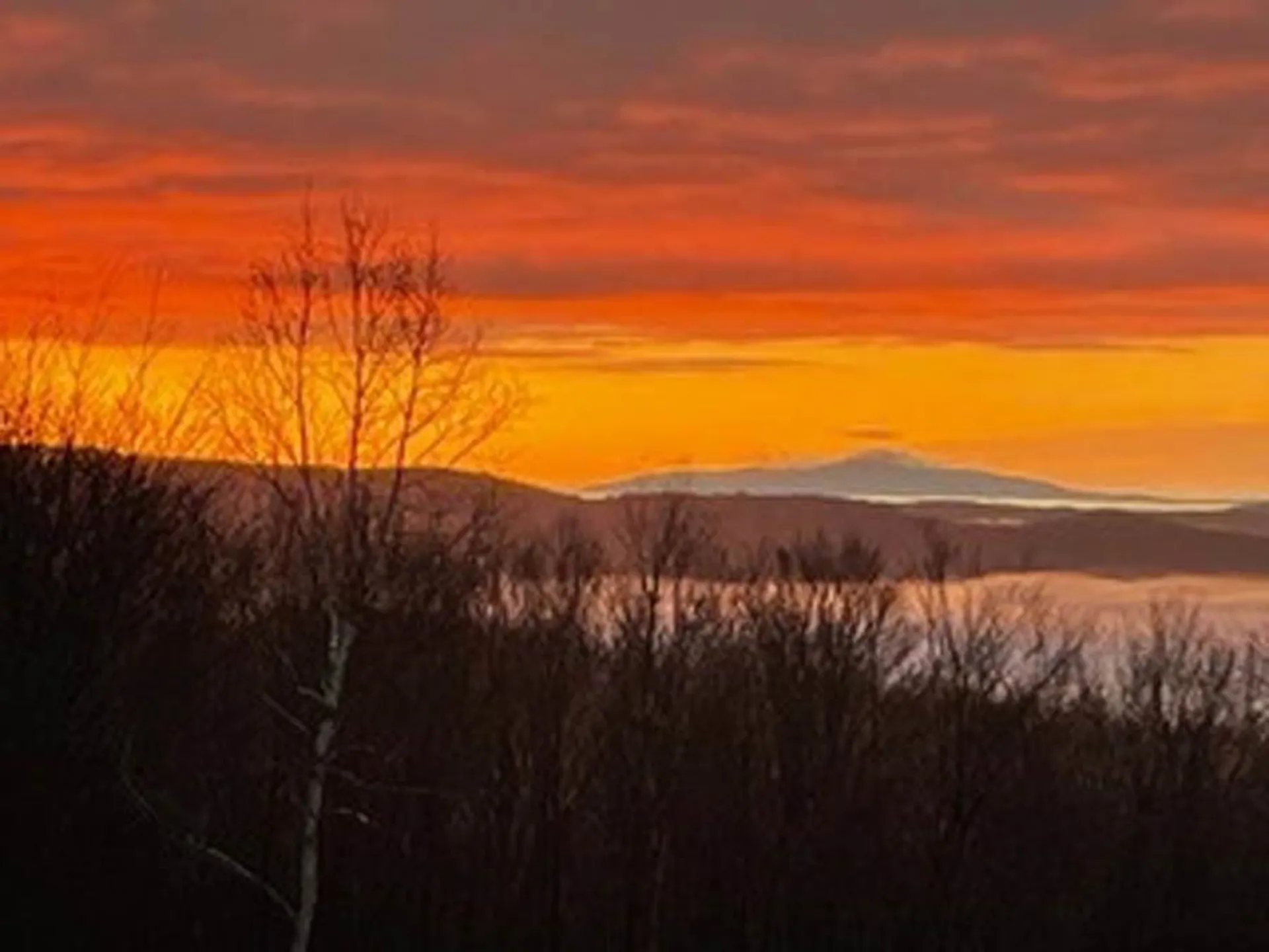 365 Timson Hill Road Newfane VT 05345