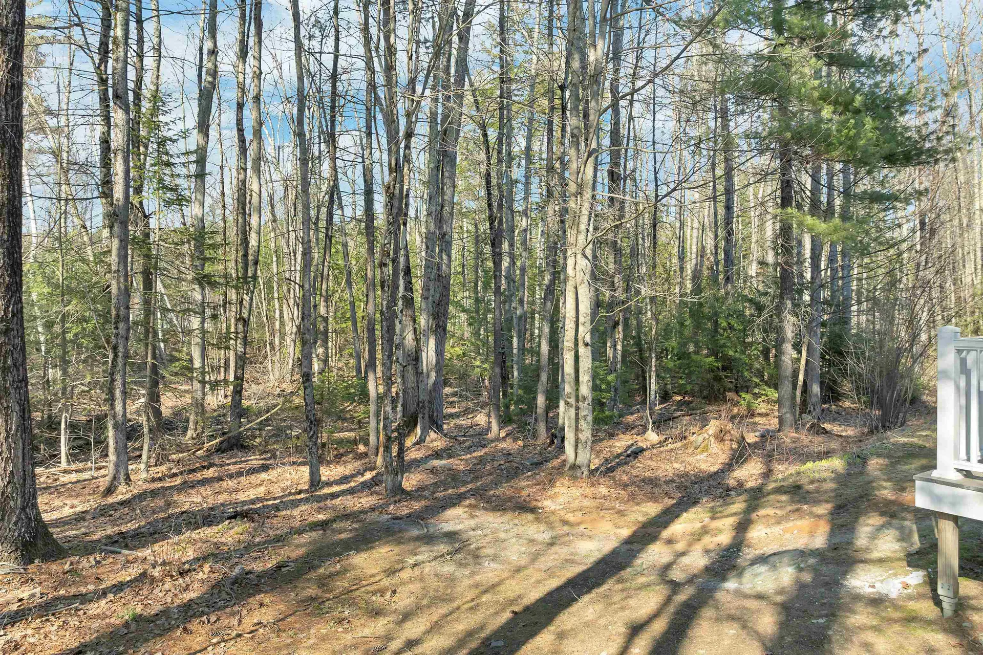 79 Woodland Green Rochester NH 03868