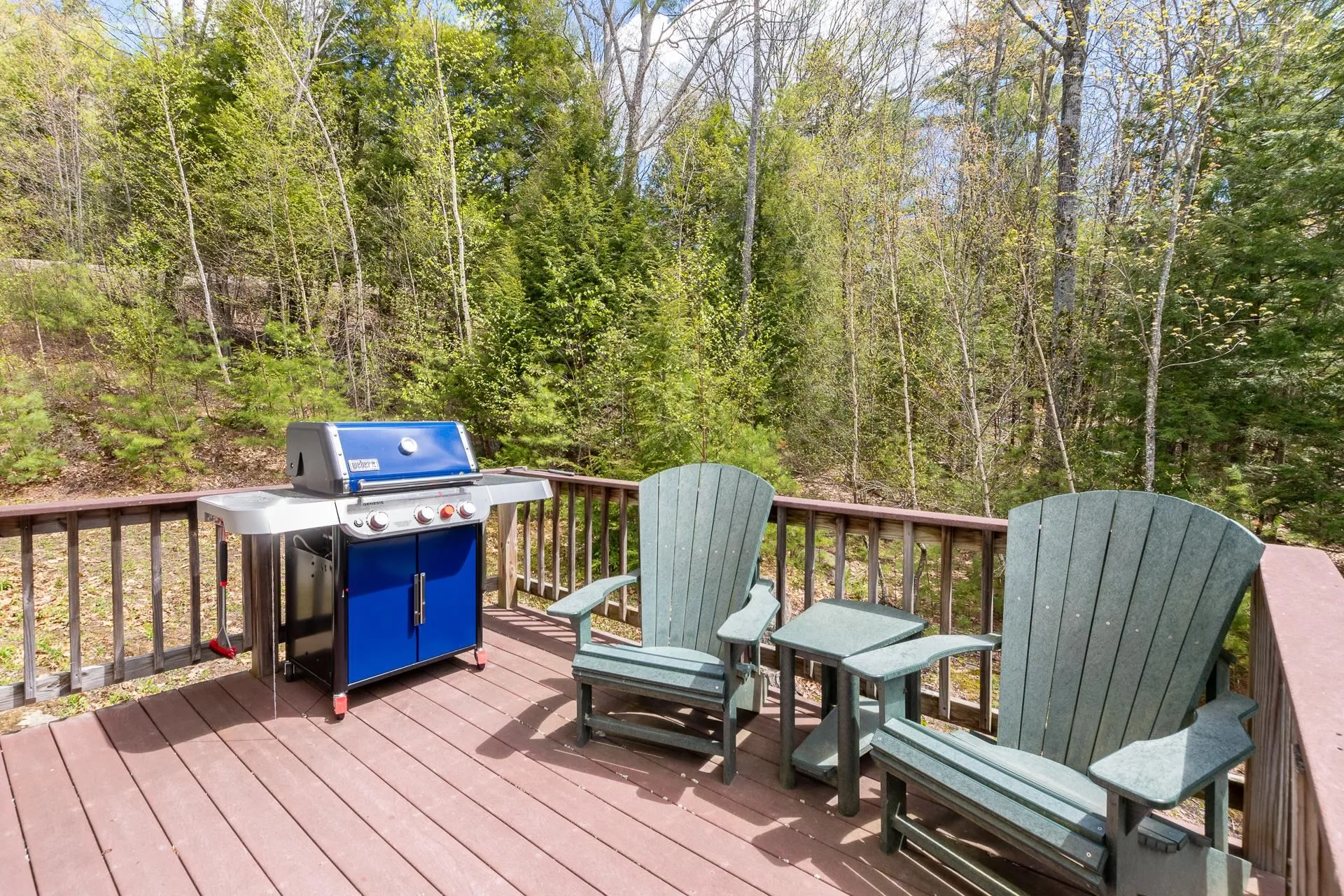 10 Skywatch Road Center Harbor NH 03226