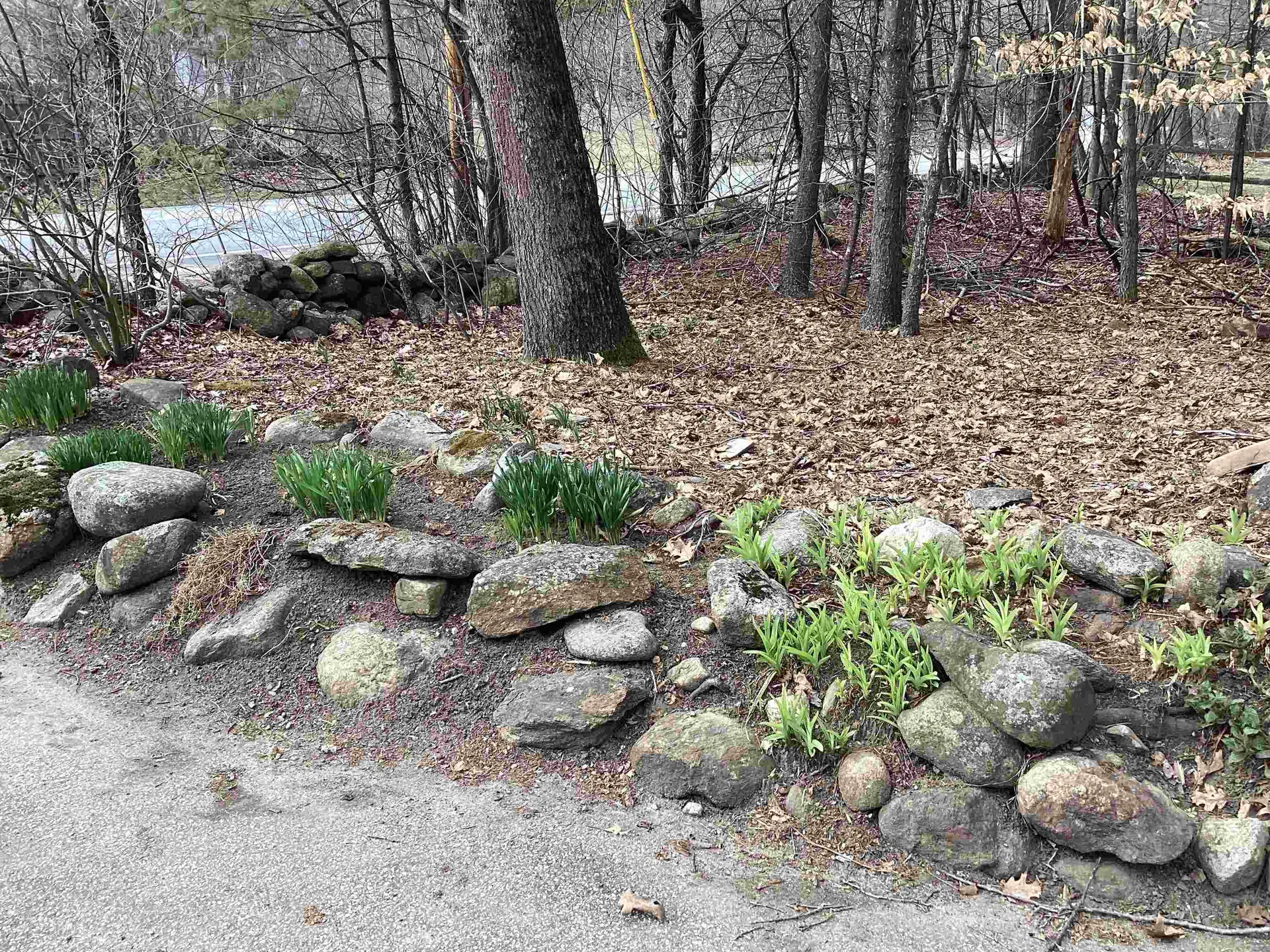 626 Forristall Road Rindge NH 03461