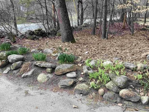 626 Forristall Road Rindge NH 03461