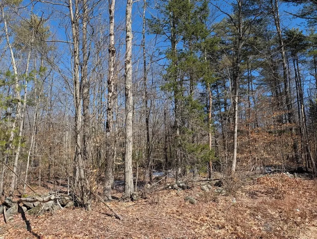 M1,L16 Province Road Barnstead NH 03225