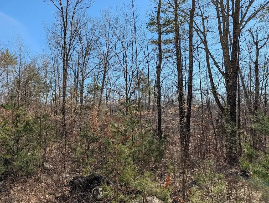M1,L16 Province Road Barnstead NH 03225