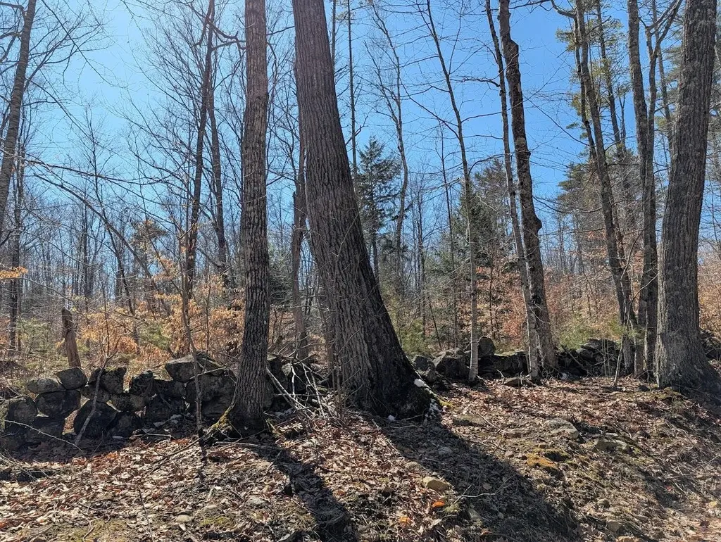 M1,L16 Province Road Barnstead NH 03225