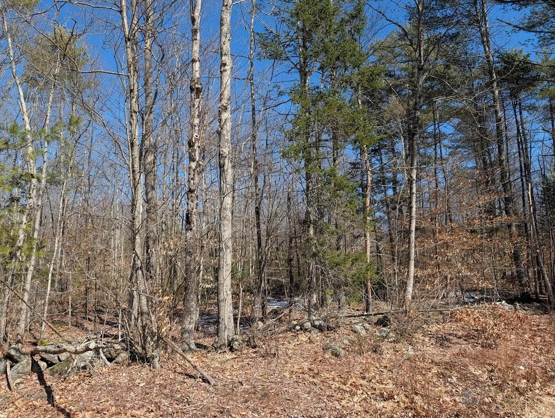 M1,L16 Province Road Barnstead NH 03225