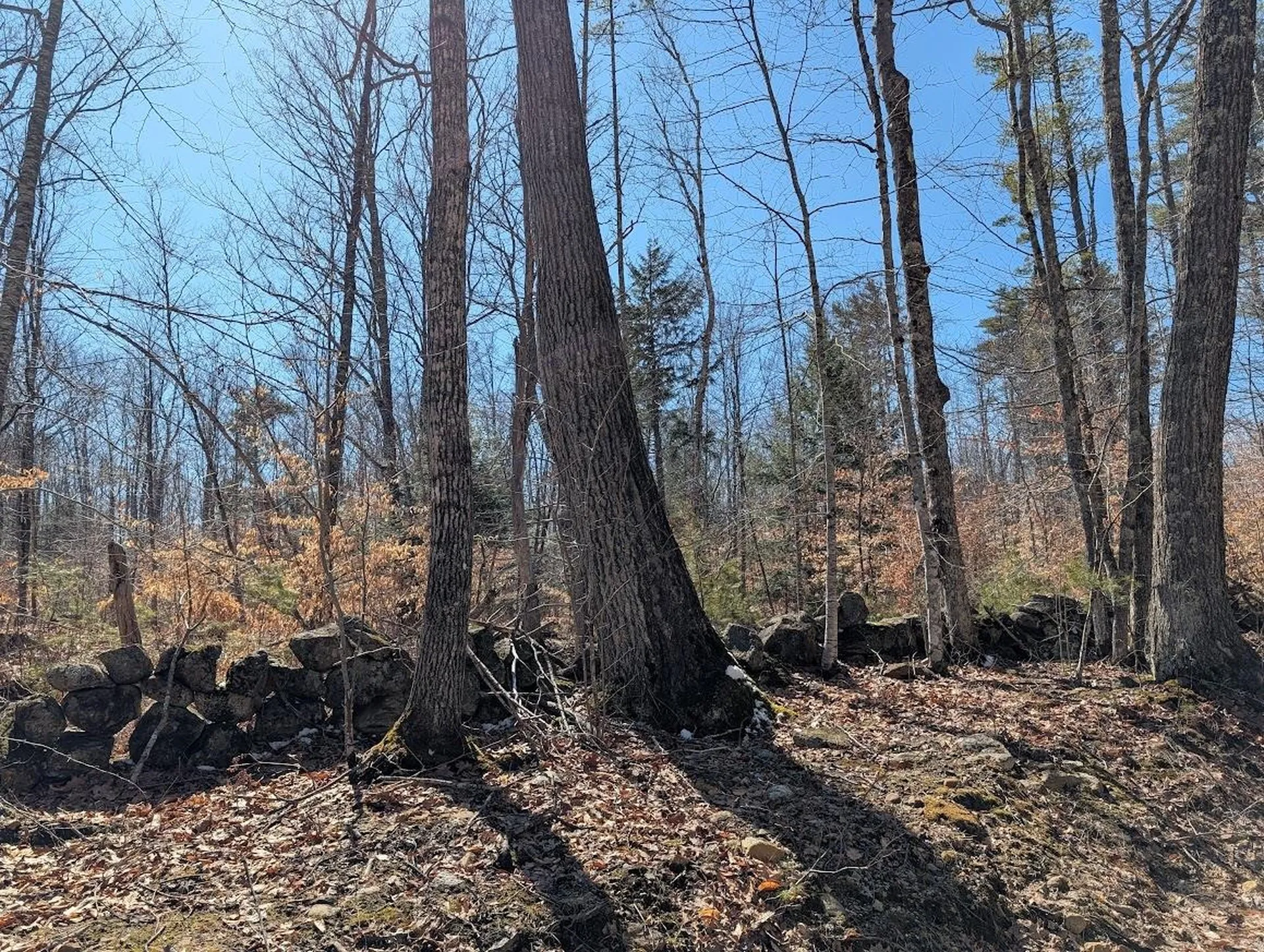 M1,L16 Province Road Barnstead NH 03225