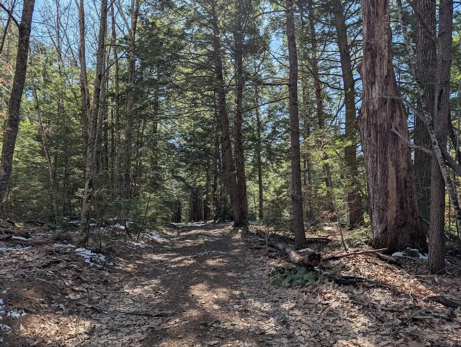 M1,L16 Province Road Barnstead NH 03225