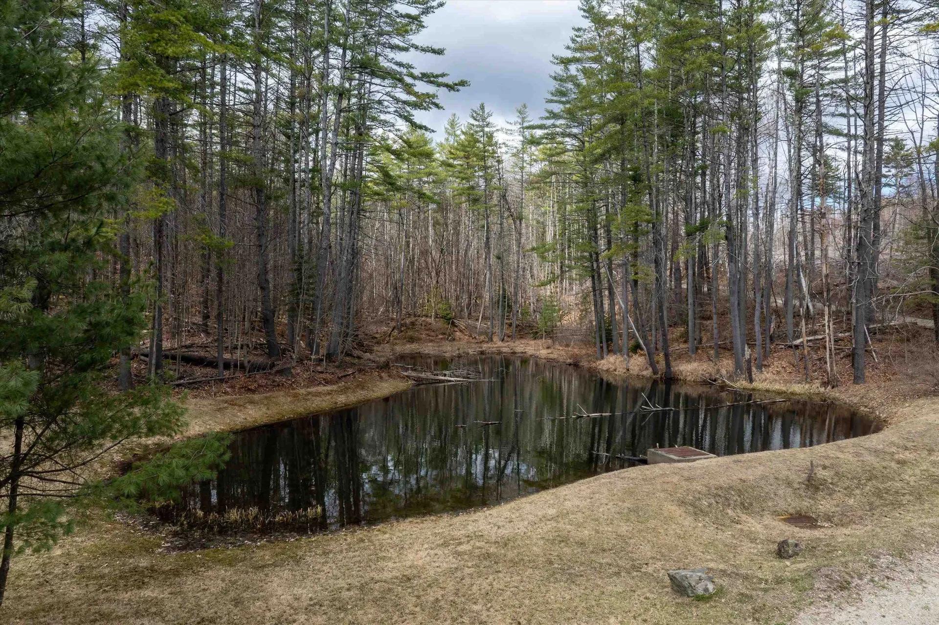 2145 Tarbell Hill Road Cavendish VT 05142