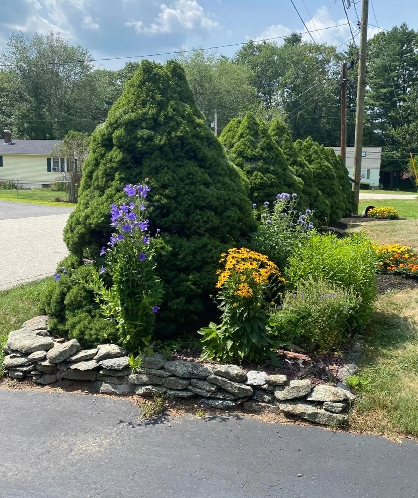 27 Hampshire Avenue Rochester NH 03867