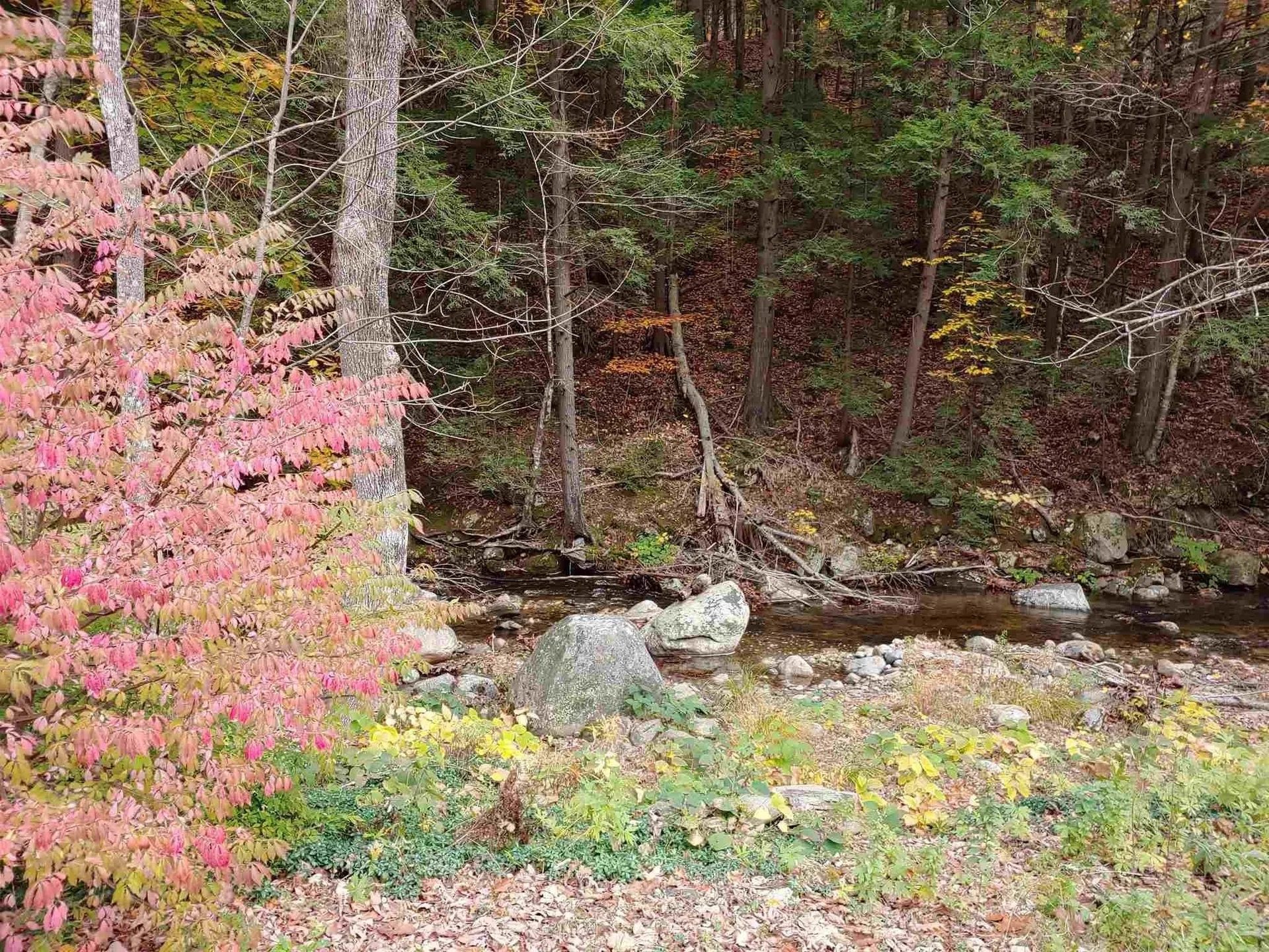 30 Back Street Newfane VT 05345