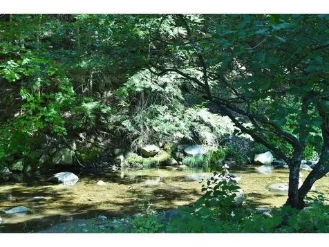 30 Back Street Newfane VT 05345
