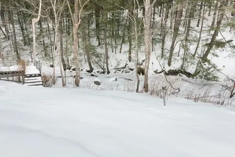 30 Back Street Newfane VT 05345