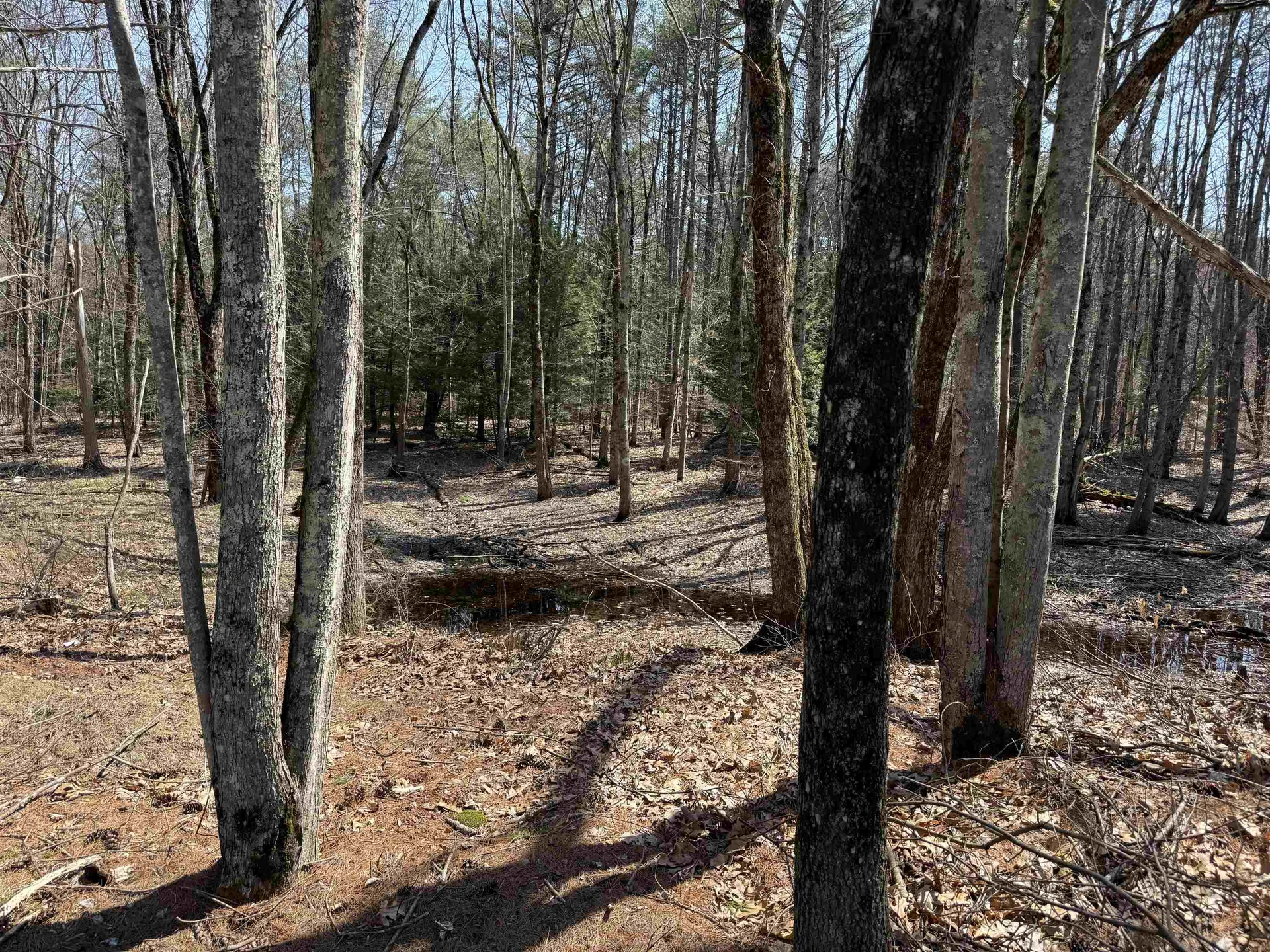 186 Deer Path Road Hopkinton NH 03229