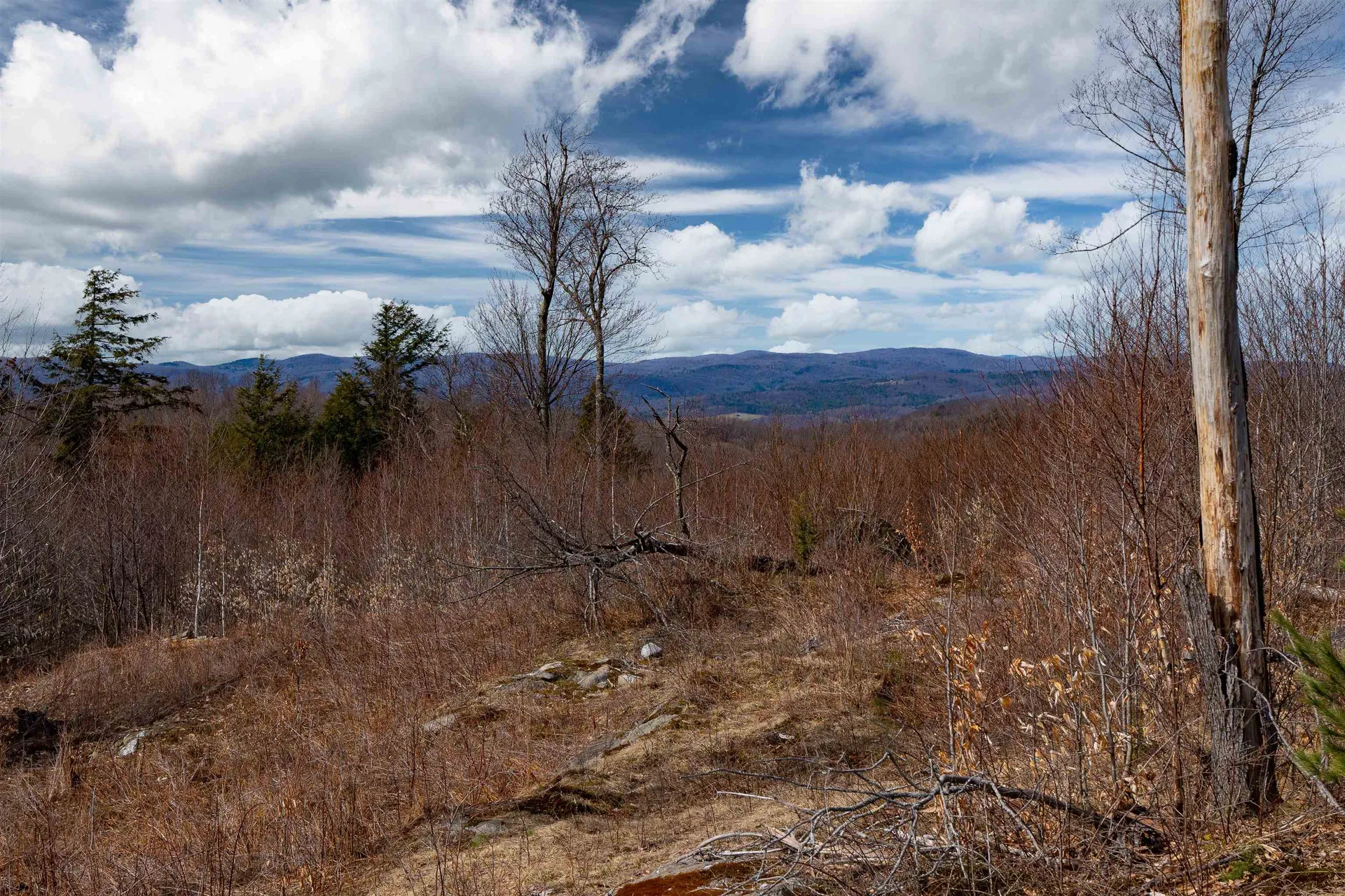 00 Chapel Hill Road Sharon VT 05065