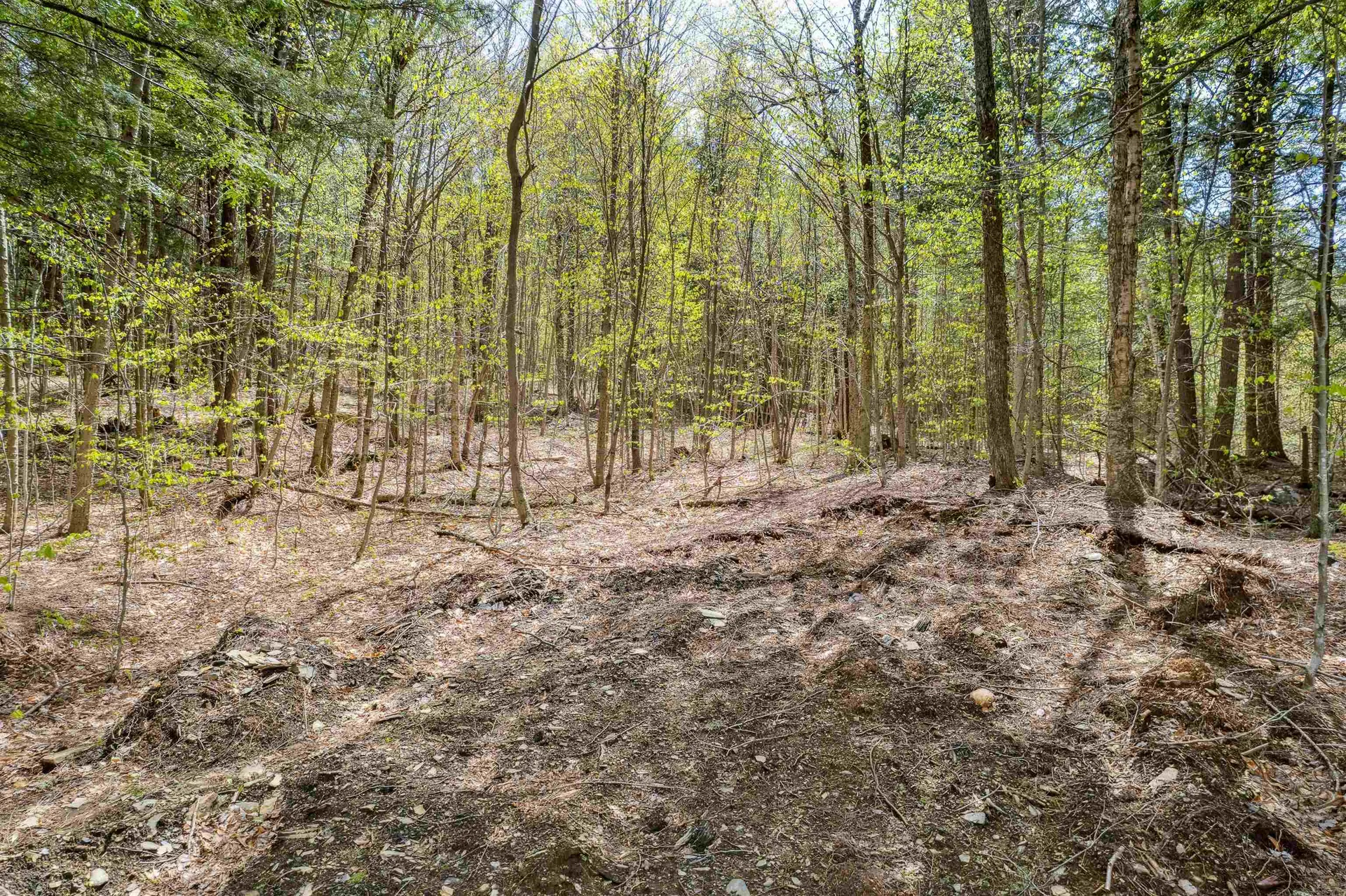 00 Chapel Hill Road Sharon VT 05065