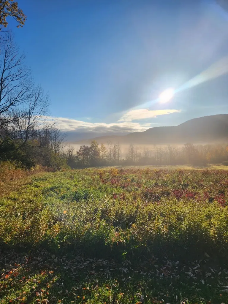 5195 Route 22 A Addison VT 05491