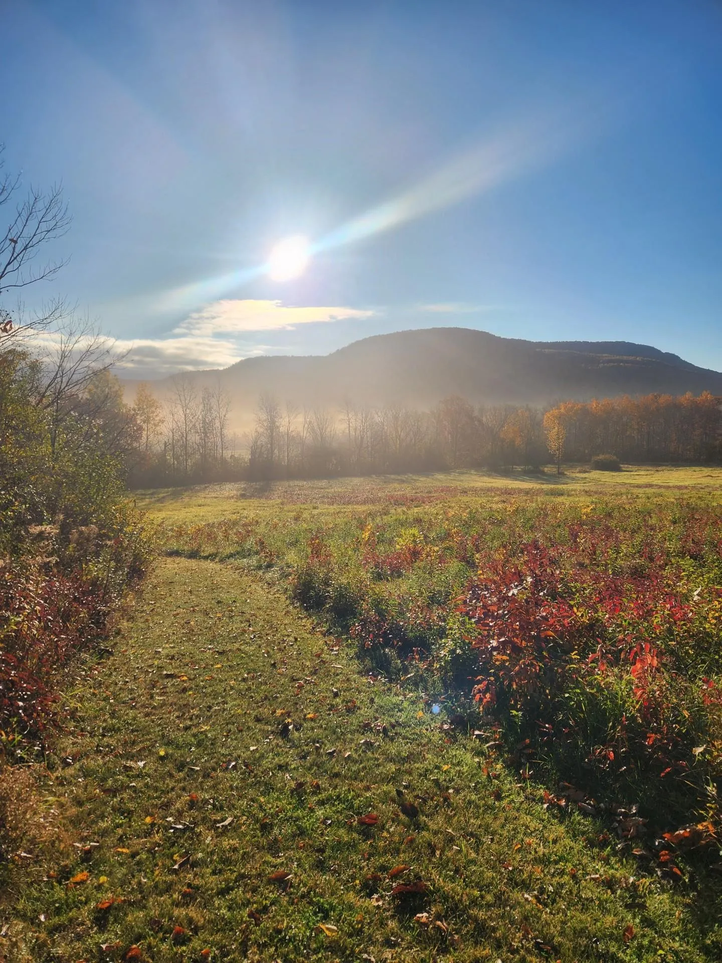 5195 Route 22 A Addison VT 05491