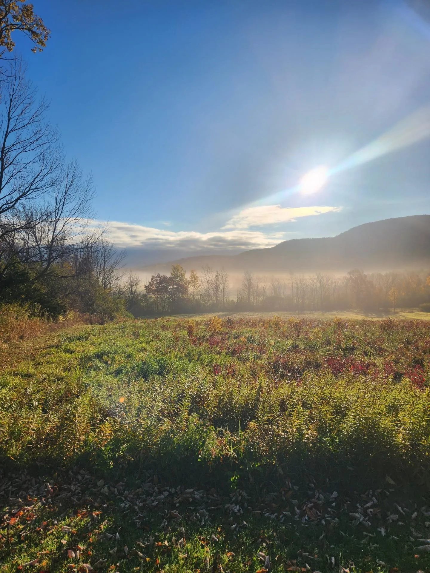 5195 Route 22 A Addison VT 05491